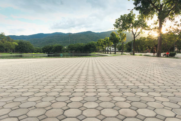 Best Driveway Pavers Near Me  in Olive Hill, KY